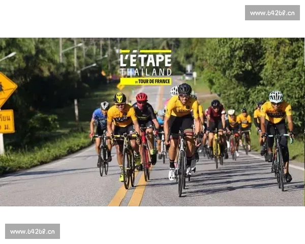 环法赛道上的英雄与挑战，见证自行车极限运动的巅峰对决与不屈精神